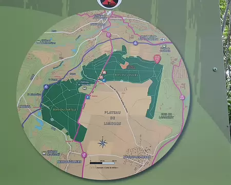 031 La forêt départementale de Méridon