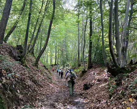 032 Chemin creux dans le bois de Vossery (forêt de Méridon)