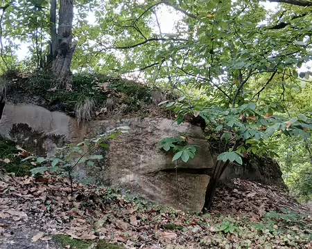 034 Bloc de grès dans l’ancienne carrière du bois de Vossery