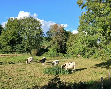 049 Paysage champêtre à Saint-Rémy-lès-Chevreuse