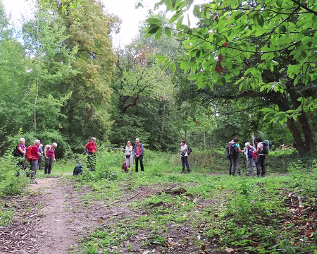 20250917_112400 Dans la forêt de Marly