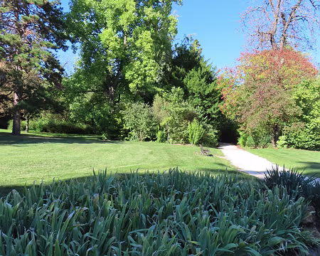 20250917_163200 Dans le Jardin du Trocadero