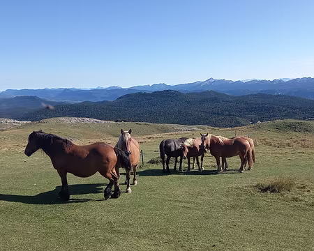 20250918_104133 Derrière nous, la forêt de Lente et la chaîne du Vercors
