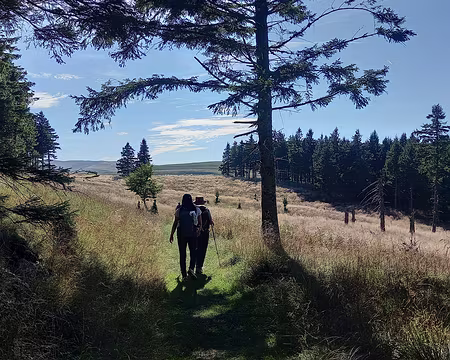 20250919_161044 On ne pourra pas pénétrer dans la forêt qui borde le plateau, elle est interdite pour protéger les cerfs.