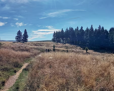 20250919_161136-01-01