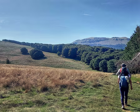 20250919_161914-01 On ne pourra pas pénétrer dans la forêt qui borde le plateau, elle est interdite pour protéger les cerfs.