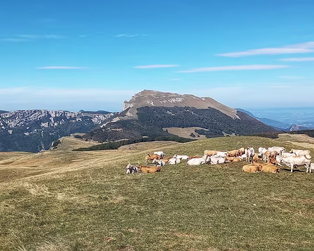 20250920_140721-01 Nous dirigeant vers la cabane d'Ambel.