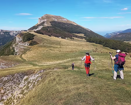 20250920_143839-01 Les vaches ont chaud, elles cavalent jusqu'au point d'eau.