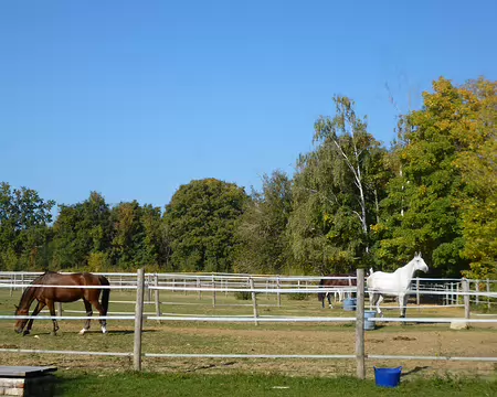 P1210942