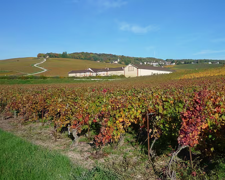 P1360949 Moet et Chandon