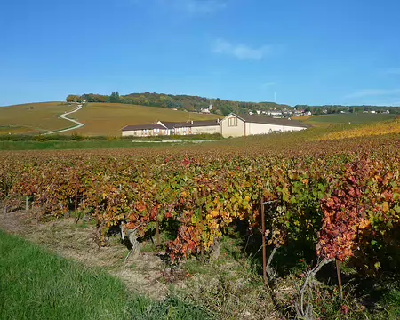 P1360949 Moet et Chandon