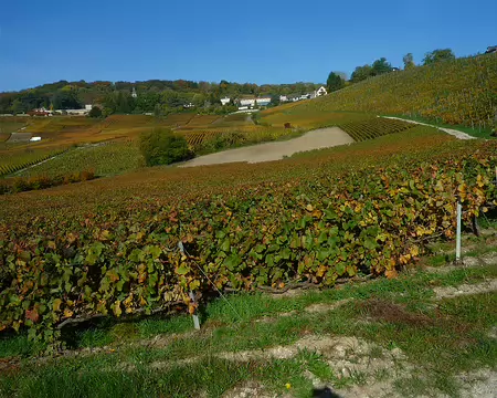 P1360951 Hautvillers