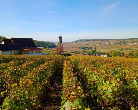 P1360955 Grosse bouteille à l'horizon