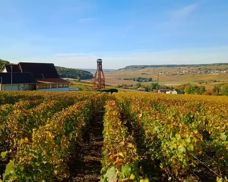 P1360955 Grosse bouteille à l'horizon