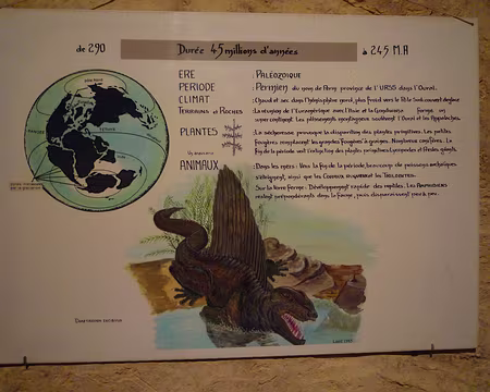 P1360974 Une collection qui s'est fabriquée il y a 45 millions d'années