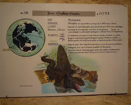 P1360974 Une collection qui s'est fabriquée il y a 45 millions d'années