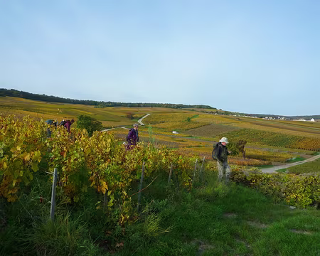 P1370002 Direction Damery en bord de Marne pour finir la randonnée