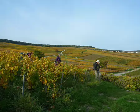 P1370002 Direction Damery en bord de Marne pour finir la randonnée