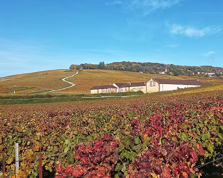 20251018_105428-01 Epernay