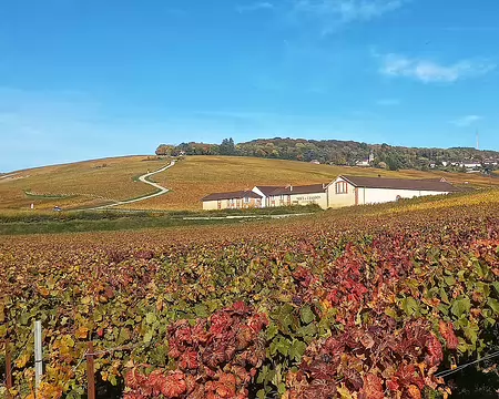 20251018_105428-01 Epernay