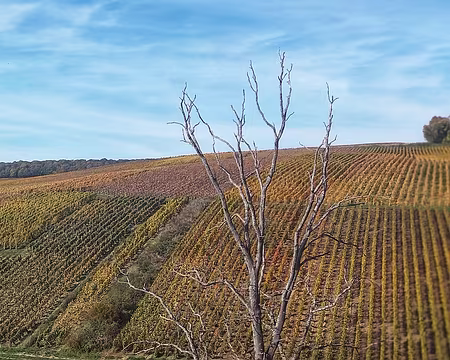 20251018_135405-01-01