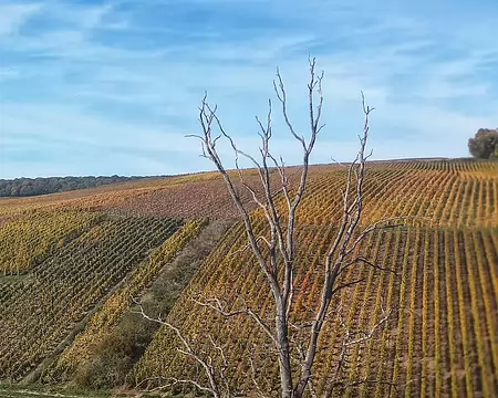 20251018_135405-01-01