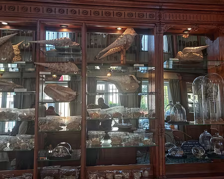 20251018_142117-01 Visite de la Cave aux coquillages