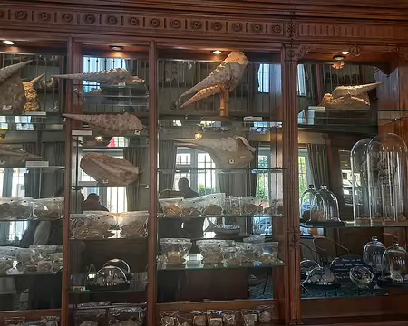 20251018_142117-01 Visite de la Cave aux coquillages