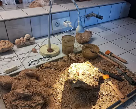 20251018_155551-01-01