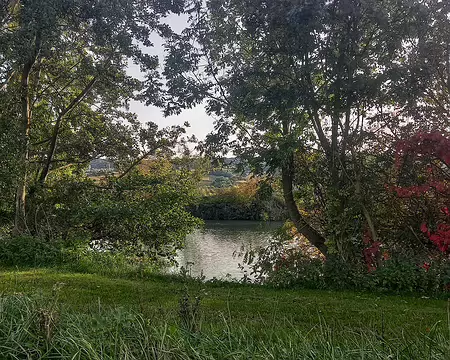 20251018_172121-01 Magnifique randonnée organisée de main de maître par Bernadette (croissants le matin, gateaux apéritifs et flûtes...). Grand merci Bernie, une journée mémorable...