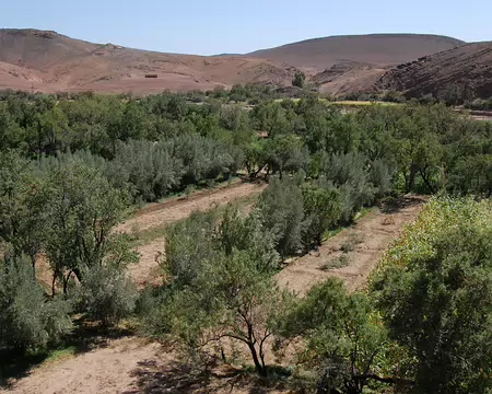 DSC_0296 Arrivée à Tamlakout (1600 m) : des oliviers, des amandiers, du maïs. L'eau n'est pas loin.