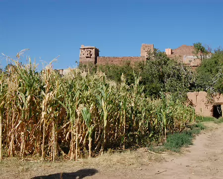 DSC_0304 Et il est beau !