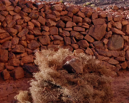 DSC_0315 Une petite réserve de buissons épineux secs pour le feu.