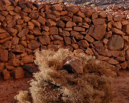 DSC_0315 Une petite réserve de buissons épineux secs pour le feu.