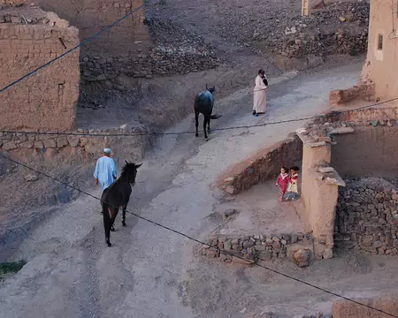 DSC_0317 Les mules qui font partie de la logistique de notre randonnée arrivent dans le village.