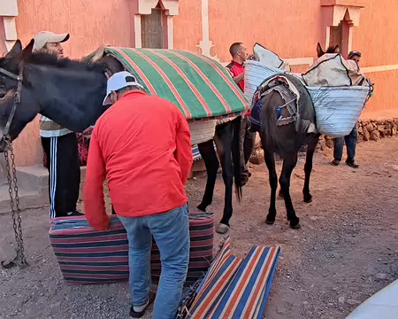 DSC_0319 Jour 2, 6 octobre. De Tamlakout à Qit Tigga (2000m). Les mules sont chargées avec le nécessaire pour le déjeuner : matelas et matériel de cuisine.