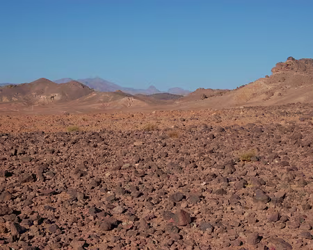 DSC_0320 La randonnée commence par le plateau de Tinzaline. On traverse des étendues a priori désertes, mais qui en fait ont été en partie préparées mécaniquement pour...