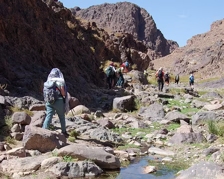 DSC_0327 Enfin de l'eau dans l'oued, et la verdure qui va avec.