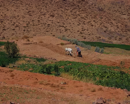 DSC_0336 ... de travailler dur.