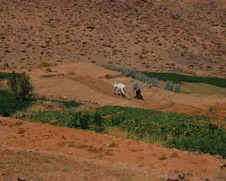 DSC_0336 ... de travailler dur.