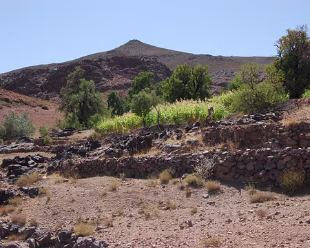 DSC_0338 Encore du maïs, alors que nous sommes à plus de 2000 m.