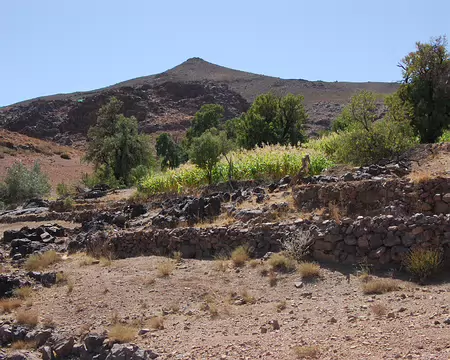 DSC_0338 Encore du maïs, alors que nous sommes à plus de 2000 m.