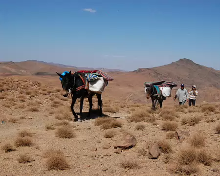DSC_0342 Les mules de nos muletiers nous doublent, maintenant délestées de notre déjeuner pantagruélique, mais encore tout de même lestées des matelas protecteurs de nos...