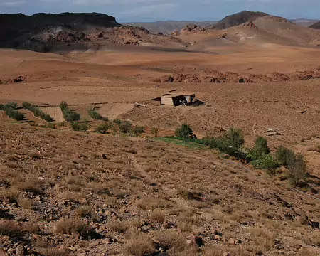 DSC_0344 De nouveau un lopin de terre qui a trouvé sa source.