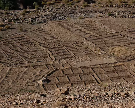 DSC_0704 A l'approche du village de Aït Tigga, les champs sont subdivisé en petites parcelles, bordées de mini digues permettant ainsi de les irriguer progressivement...