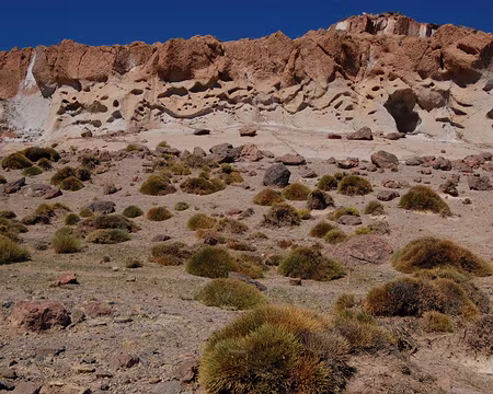 DSC_0726 Au col (2300 m), sculptures fantastiques au dessus de coussins de belle mère, plante dans lesquelles il ne fait pas bon tomber.