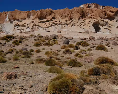 DSC_0726 Au col (2300 m), sculptures fantastiques au dessus de coussins de belle mère, plante dans lesquelles il ne fait pas bon tomber.