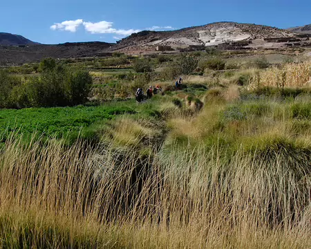 DSC_0739 Luxuriance prés de notre troisième lieu de bivouac.