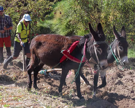 DSC_0746 La gestuelle de Mohamed reste grandement inspirée du trailer et ...