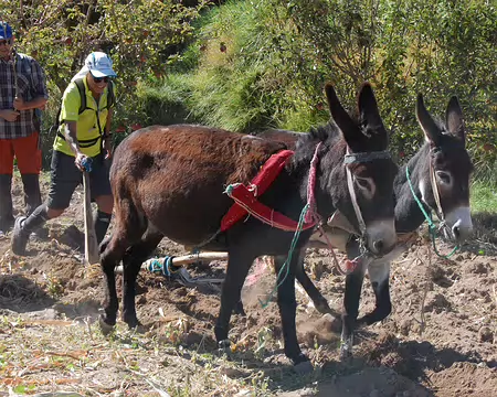 DSC_0746 La gestuelle de Mohamed reste grandement inspirée du trailer et ...